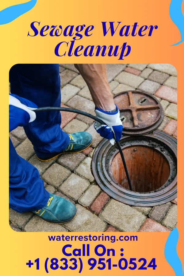 Sewage Water Cleanup in Germantown, TN